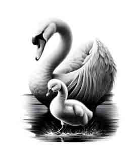 Swan Family - Instant Digital Download